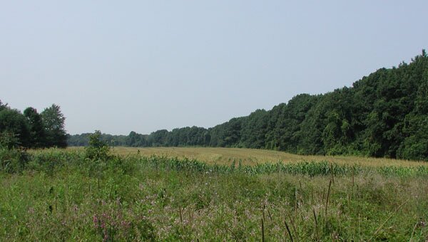 Accomplishments of the LERC