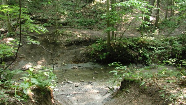 Lake Erie Region Conservancy FAQs