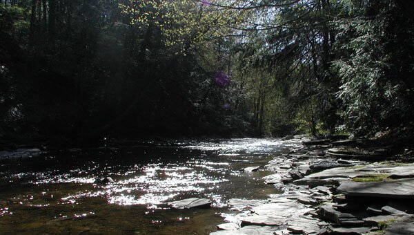 LERC Board of Directors